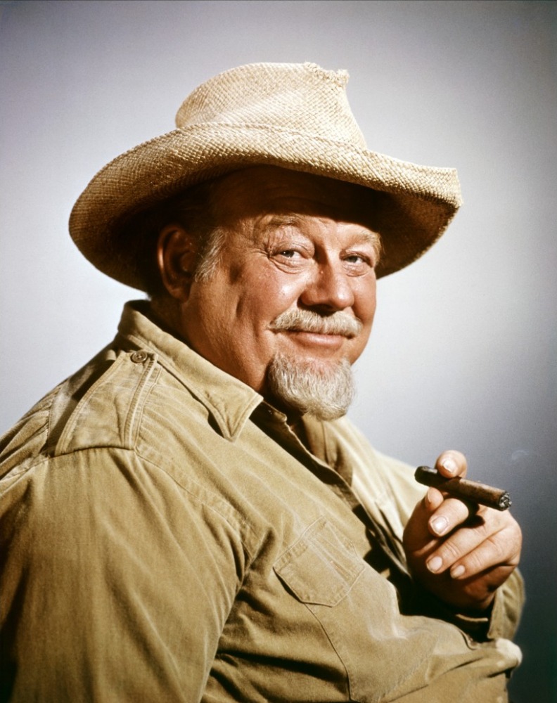 BURL IVES - HOLIDAY SONGS 1002