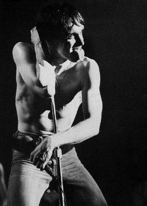 Iggy Pop 1004