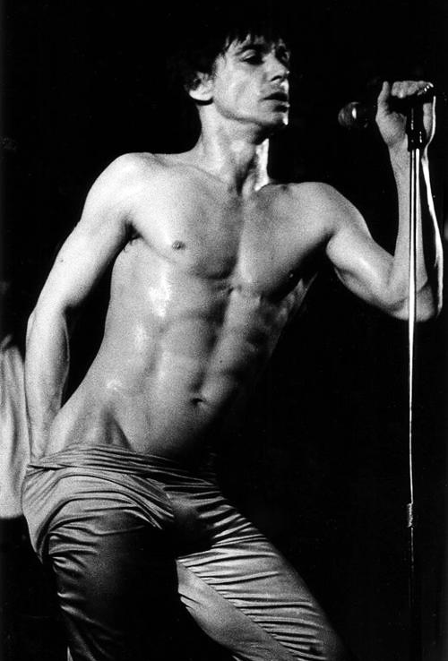 Iggy Pop 1008