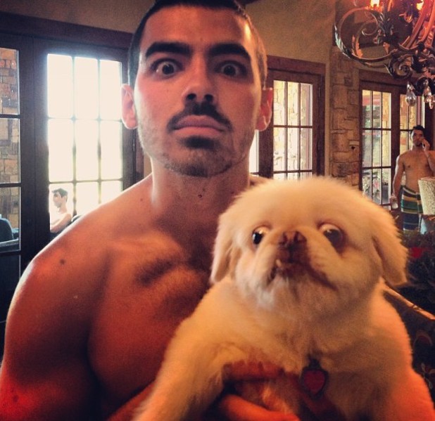 Joe Jonas 1004