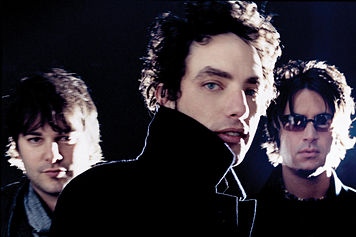 THE WALLFLOWERS 1001