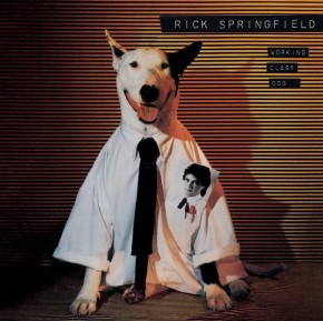 Jessies Girl - WORKING CLASS DOG