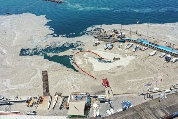 TBMM müsilaj sorununu araştıracak