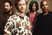 SPIN DOCTORS 1005