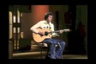 DAVID GATES (of BREAD) performs "If" (Live in 1975)