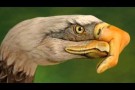Eagles - Take It Easy -HD