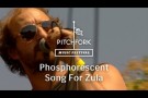 Phosphorescent - "Song For Zula" - Pitchfork Music Festival 2013