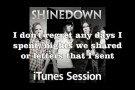 Shinedown - If You Only Knew (Acoustic iTunes Session) (with lyrics on screen)
