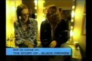 Much More Music: The Story Of The Black Crowes