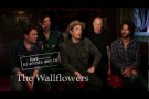 Wallflowers Extended Interview