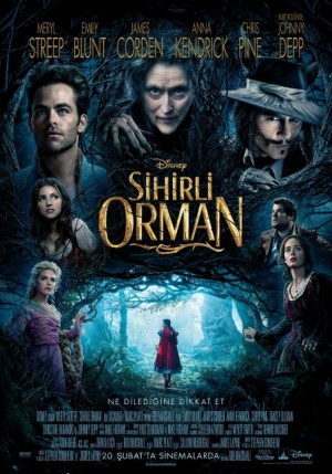 Sihirli Orman - Into the Woods