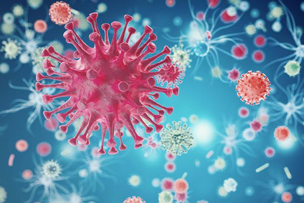 HIV türlerine yüzde 99 oranında saldıran antikor geliştirildi