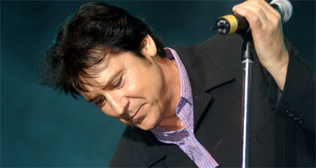 SHAKIN STEVENS 1003