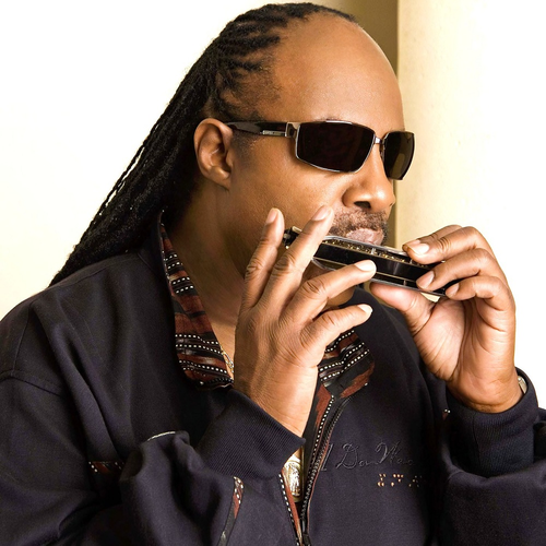 STEVIE WONDER 1003