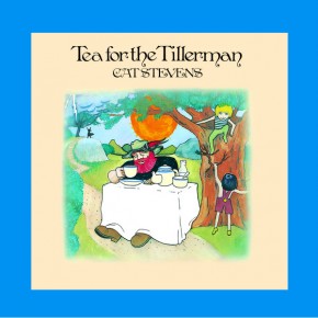 Wild World - TEA FOR THE TILLERMAN