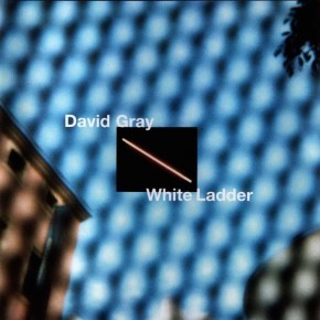 This Years Love - WHITE LADDER