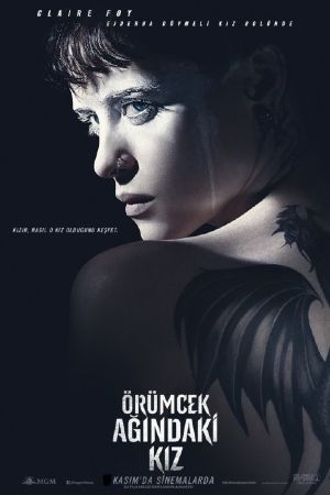 Örümcek Ağındaki Kız - The Girl in the Spiders Web